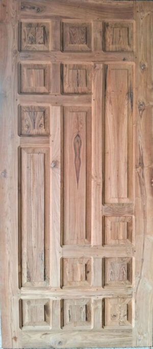 Panel Door 2
